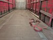 SCHMITZ  SO2 MEGA + COIL MULDE 2018